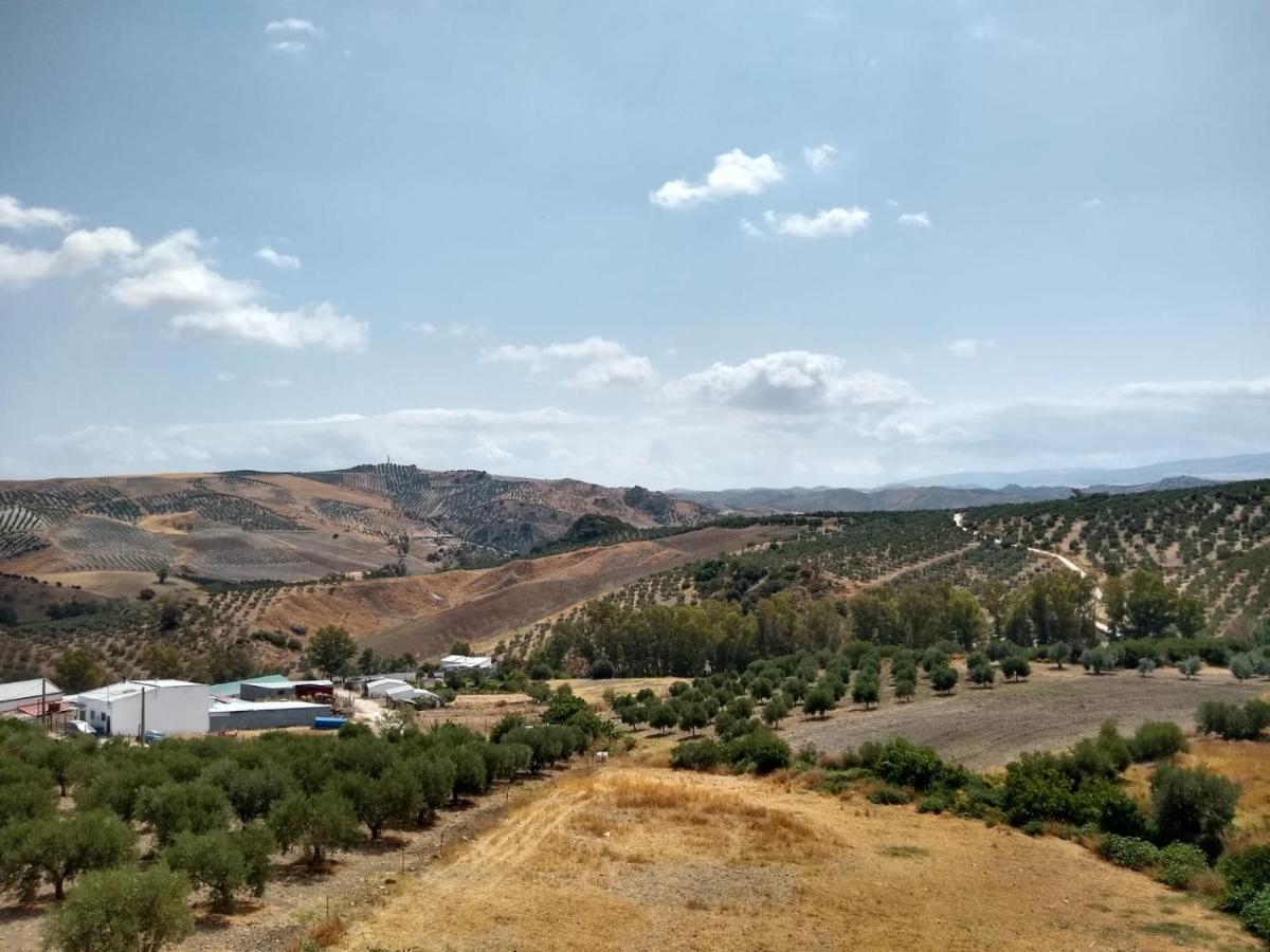 Apartamento Completo En Sierra Sur Villanueva de San Juan Buitenkant foto